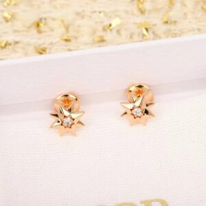 大ボリュームコンサルタントFu Étoile des Ventsピアス11240